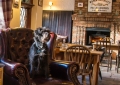 The Red Lion, Traditional Country Pub, Freshwater, Isle of Wight